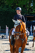 Reiten